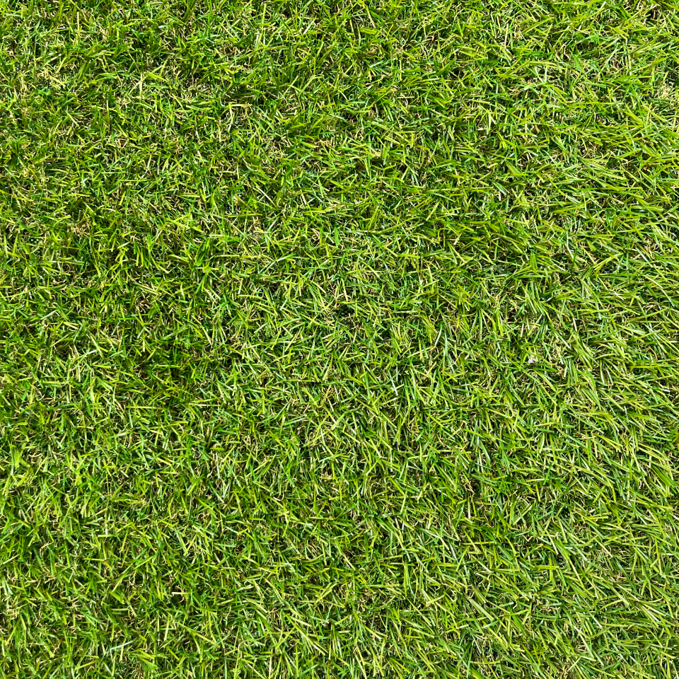 Artificial grass in the style of Buttermere 20mm