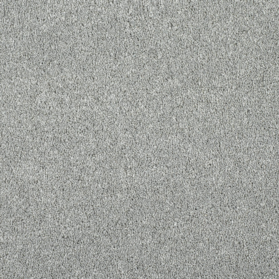 affection saxony carpet in colour Cirrus