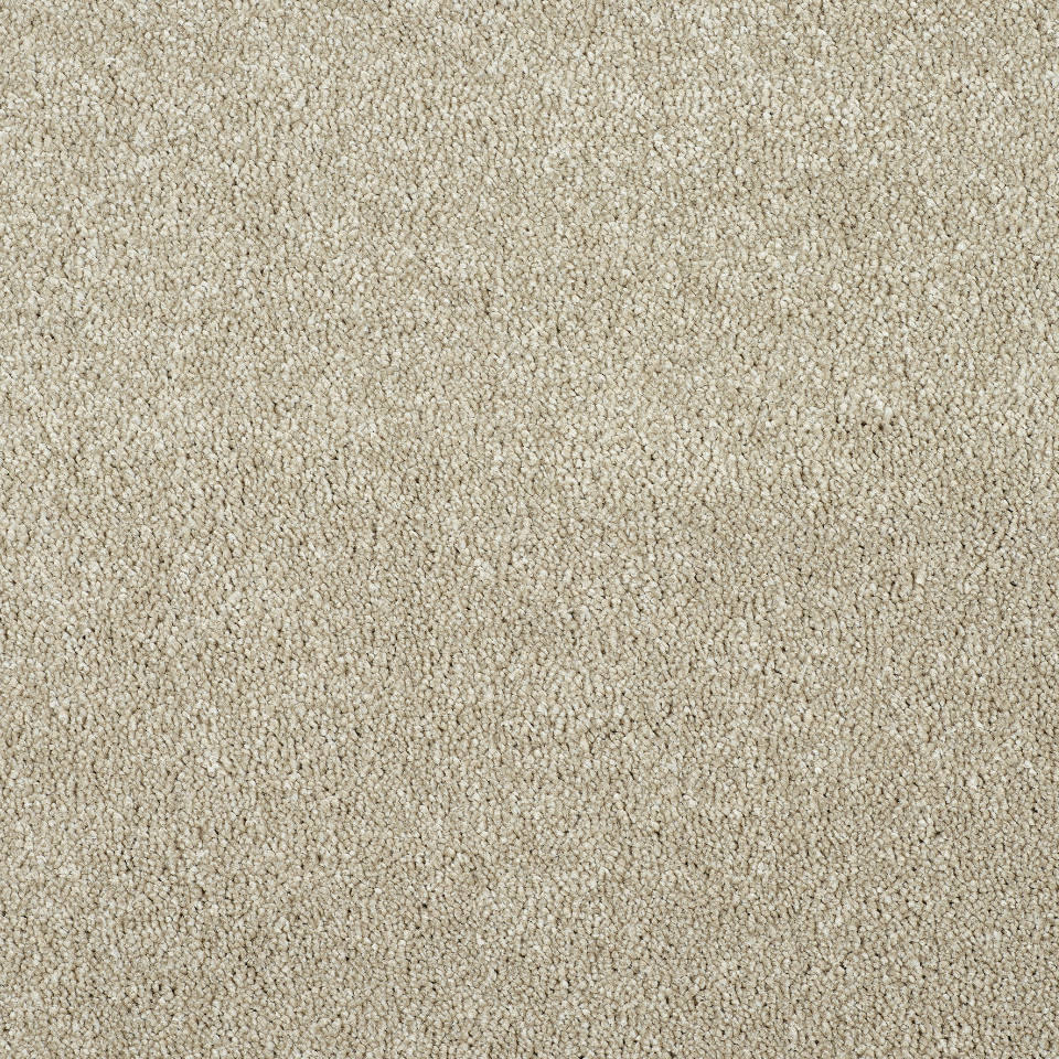 affection saxony carpet in colour Oatmeal