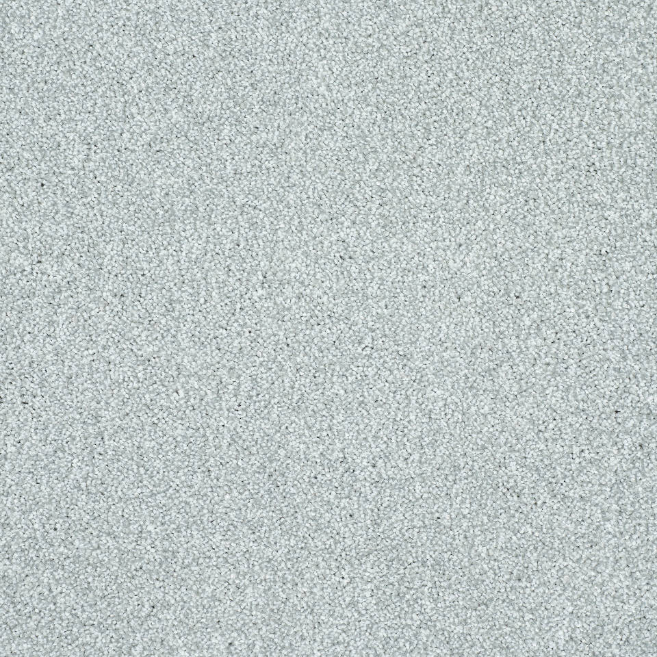 Affection saxony carpet in colour rock salt