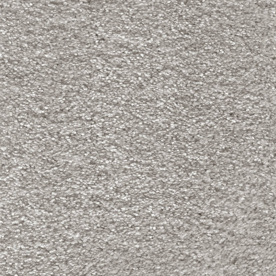 Aurelius saxony carpet in colour Battleship Grey