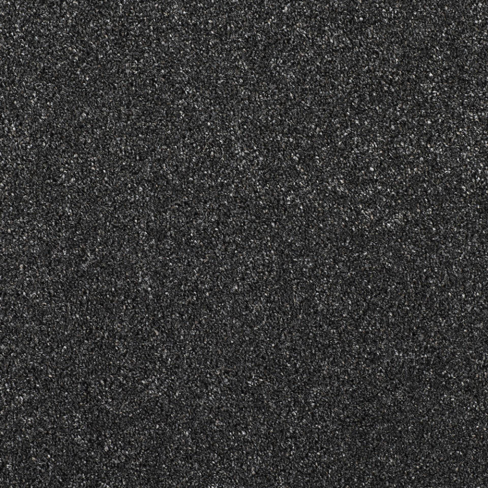 Caerphilly saxony carpet in colour Black Magic