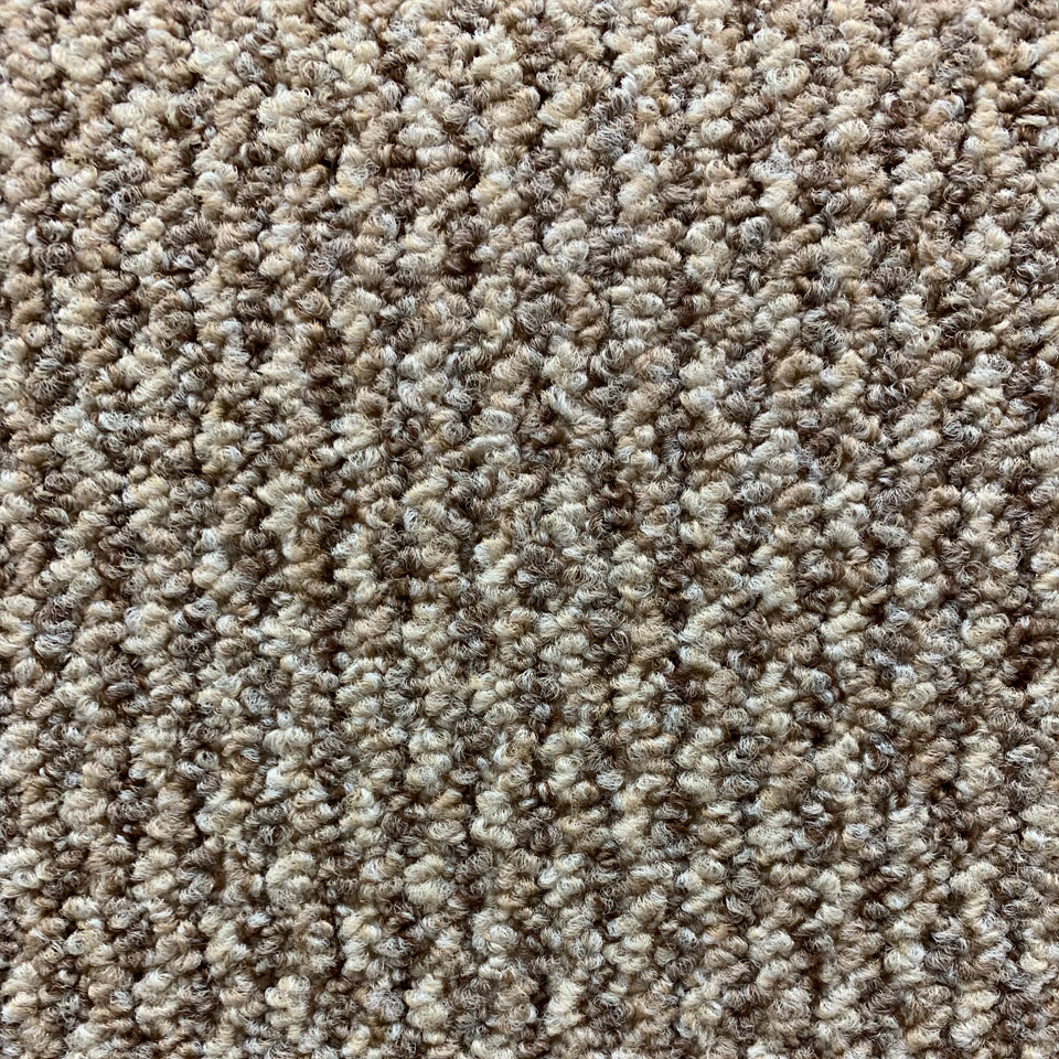 Dublin berber loop carpet in sand