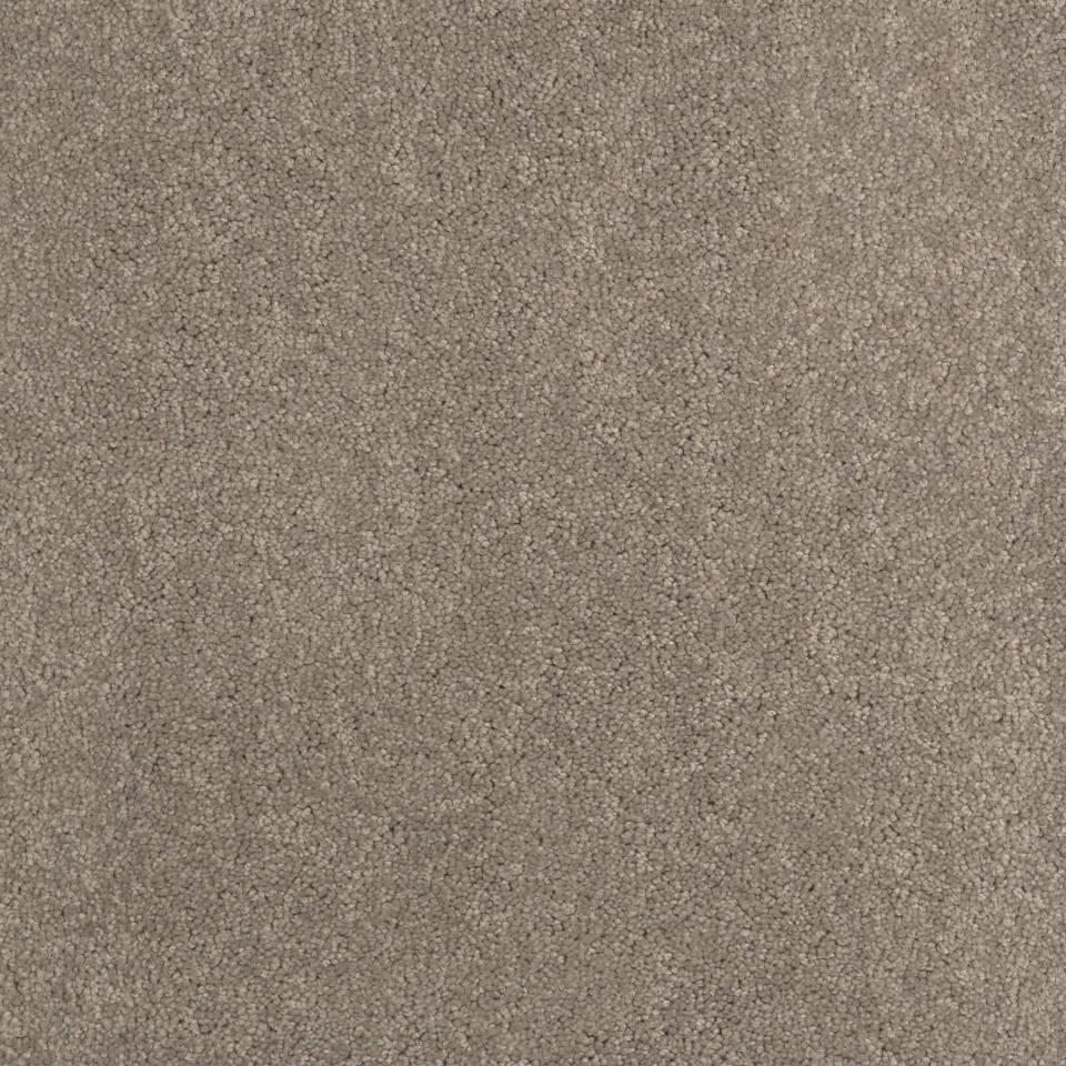 EcoStep - Elite saxony carpet in colour Oak