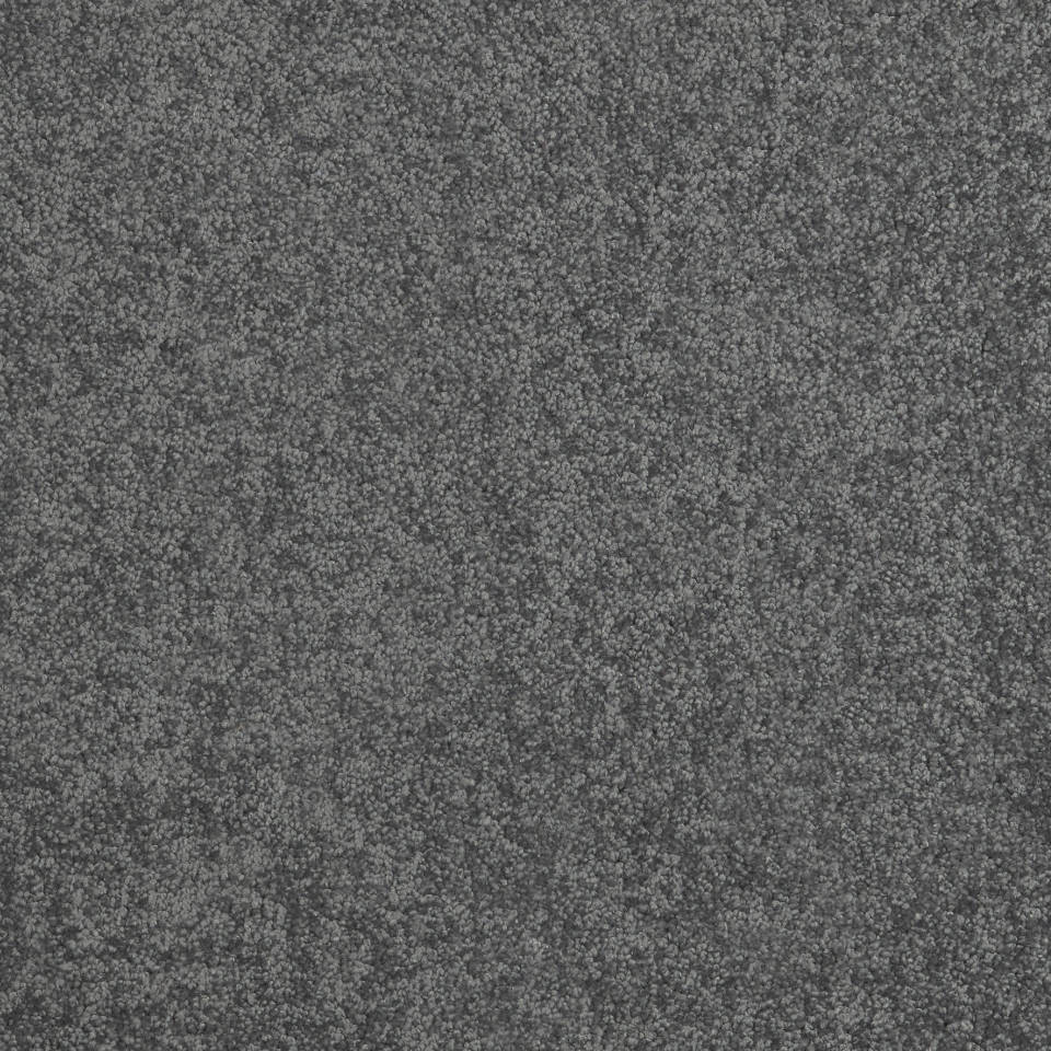 EcoStep - Elite saxony carpet in colour Slate