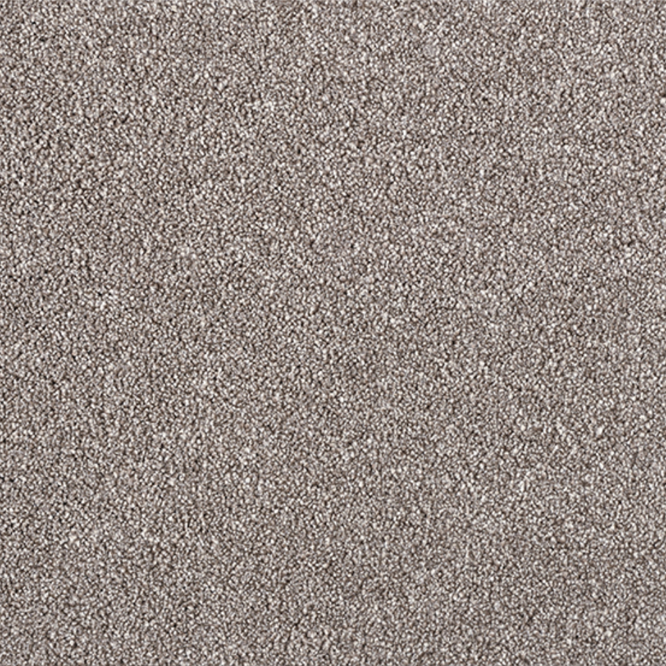 Twist Pile Fairfield Silk Elite carpet in colour Camel 260