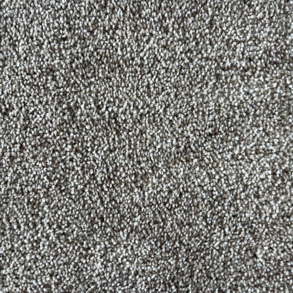Hamilton saxony carpet in colour 120