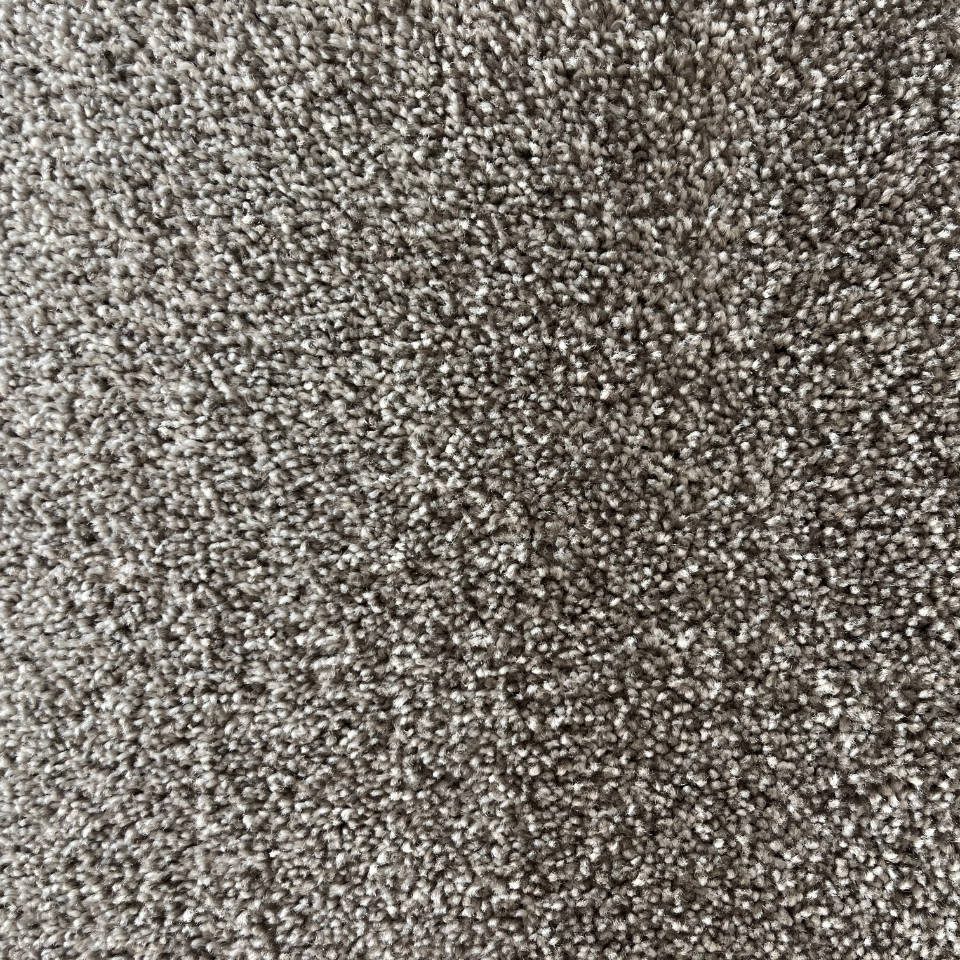 hamilton saxony carpet in colour 150