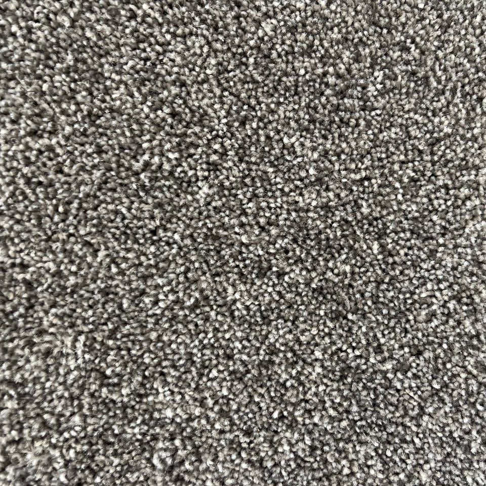 hamilton saxony carpet in colour 175