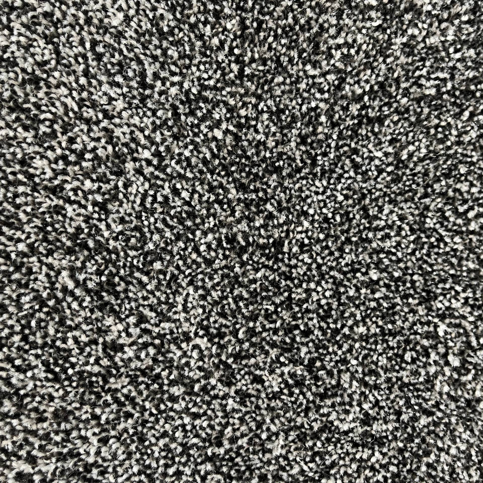 hamilton saxony carpet in colour 250