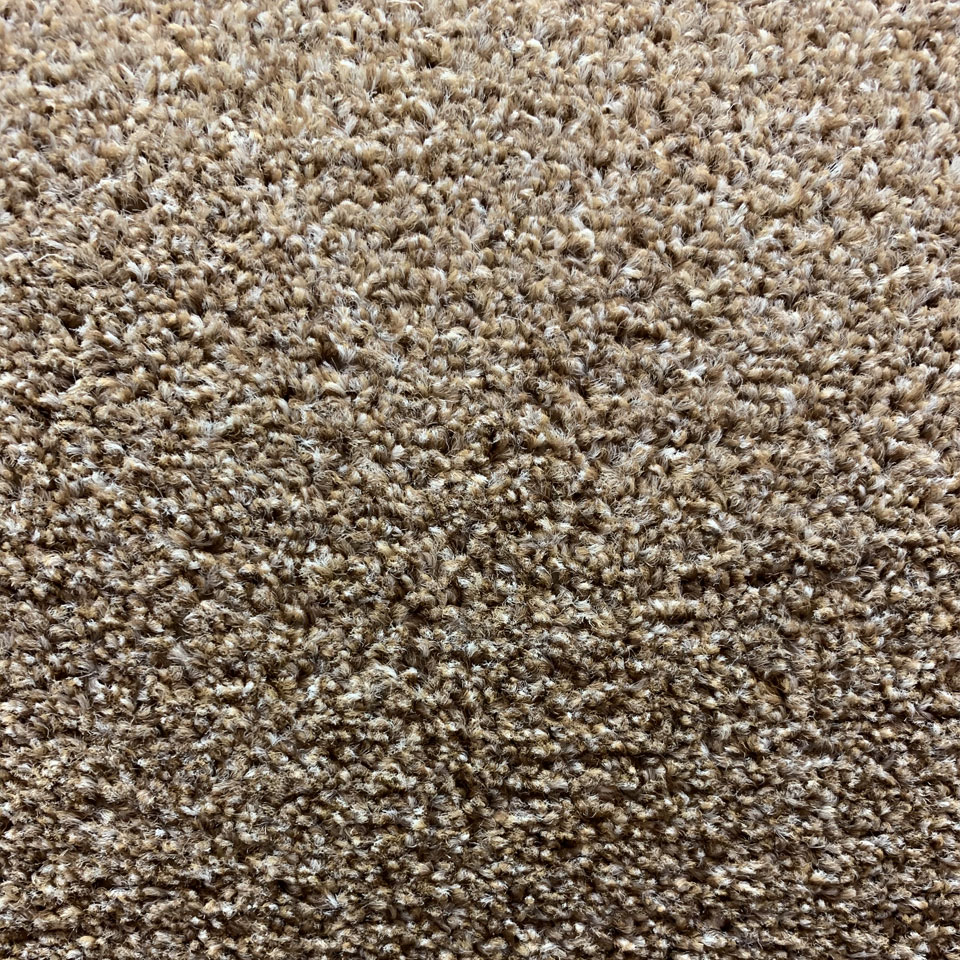 Londonderry twist pile carpet in autumn