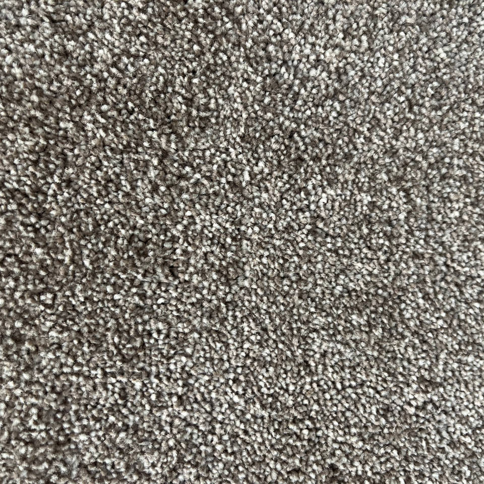 madrid twist pile carpet in 91
