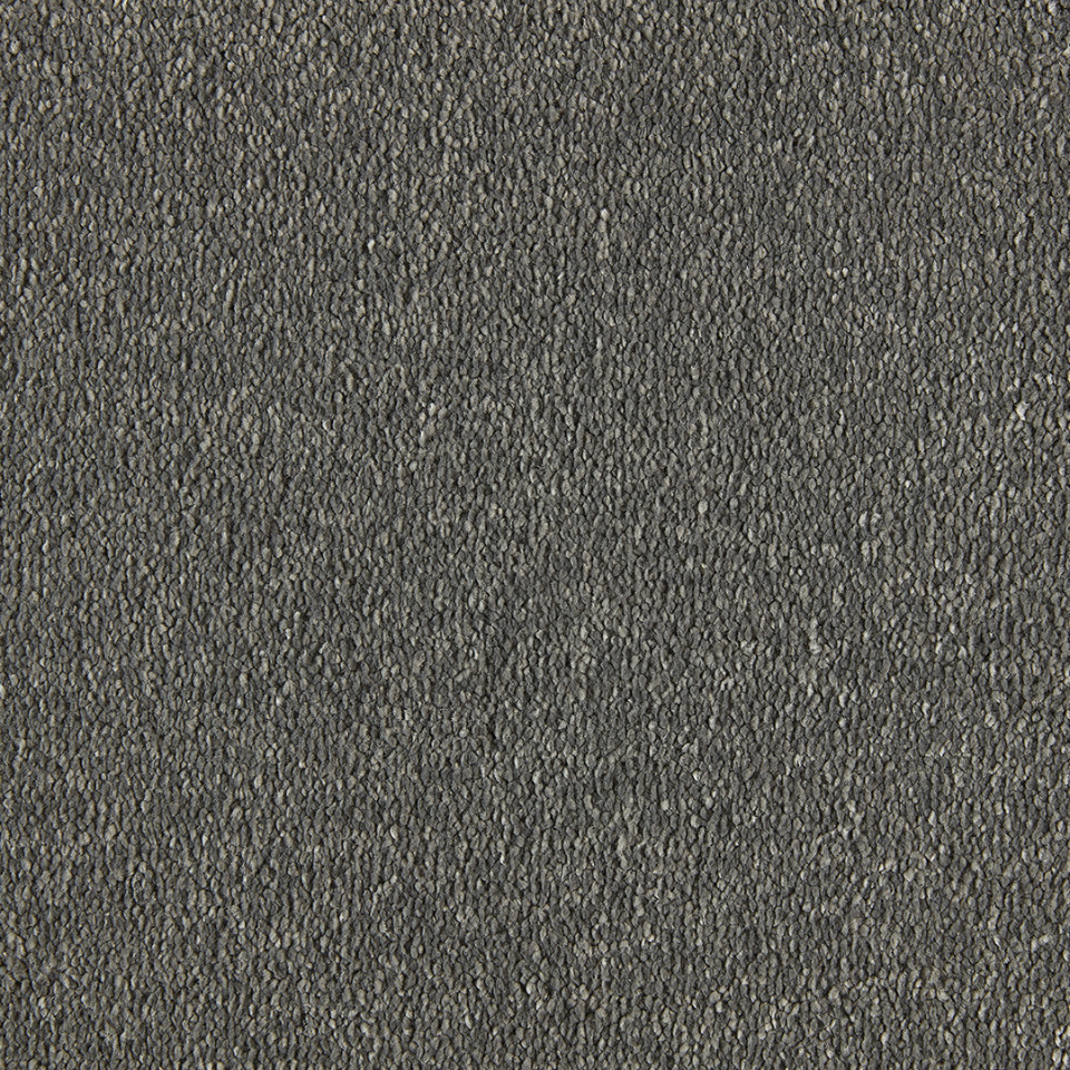 Philadelphia saxony carpet in colour 820