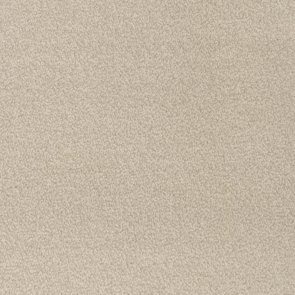 severus saxony carpet in colour 03