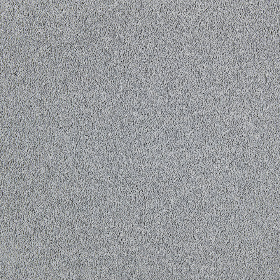 Bilbao saxony carpet in colour Silver