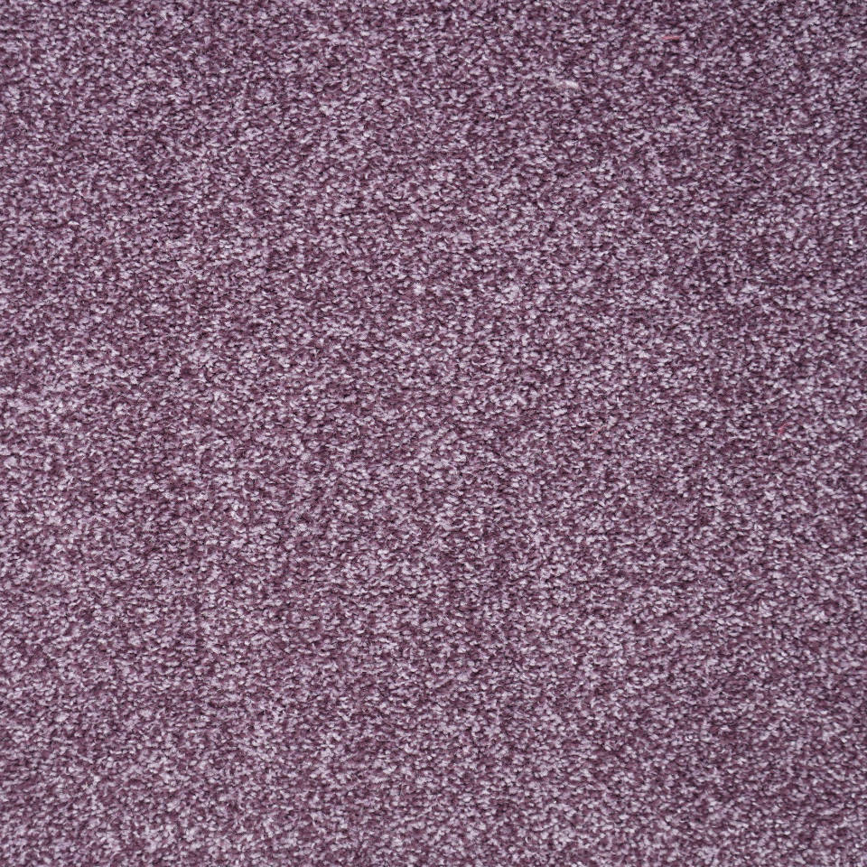 Waterford saxony carpet in colour amethyst