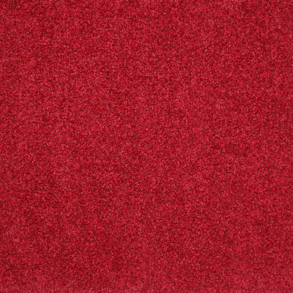 Waterford saxony carpet in colour bordeaux