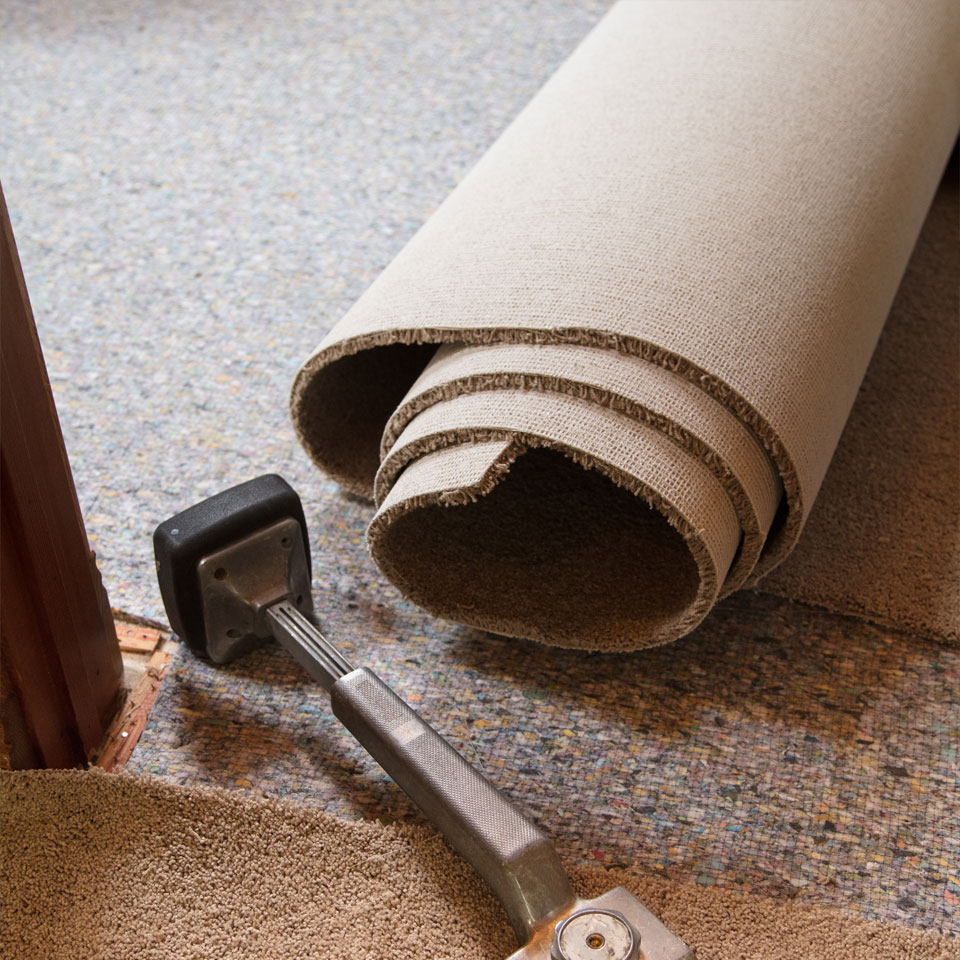 Carpet underlay being rolled out