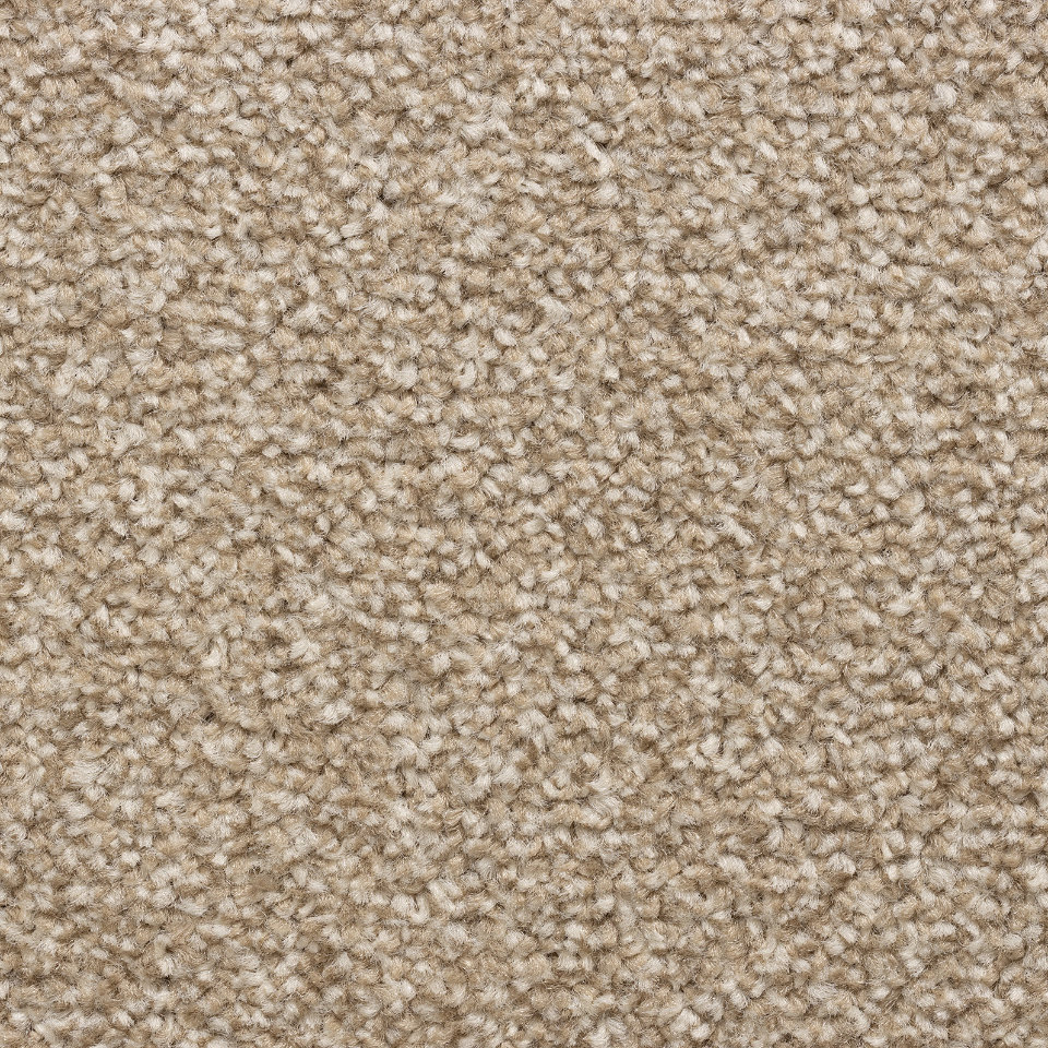 Adelaide saxony carpet in colour 72