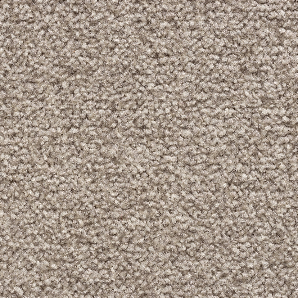 Adelaide saxony carpet in 92