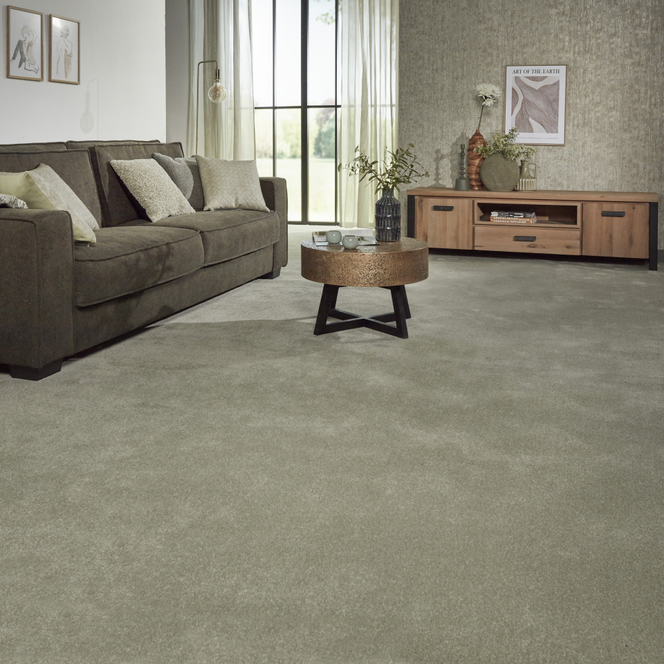 Adelaide saxony carpet displayed in a lounge