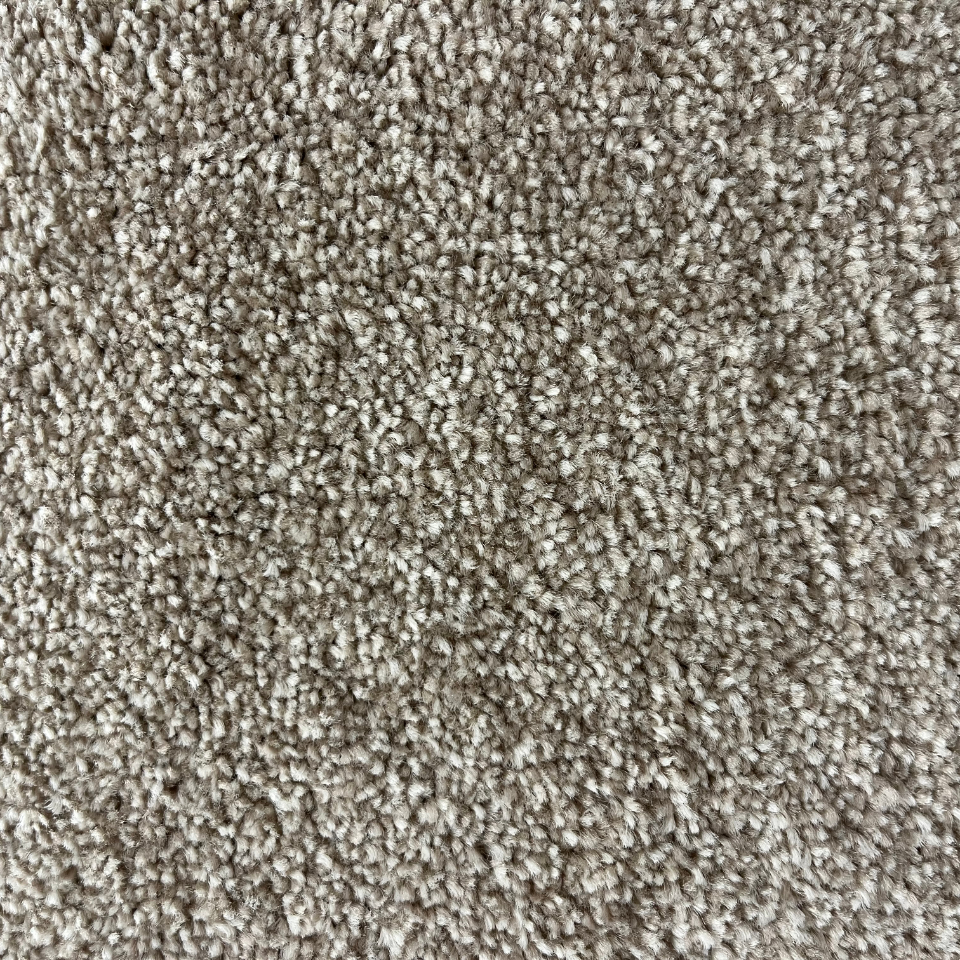 Alice Springs saxony carpet in 72
