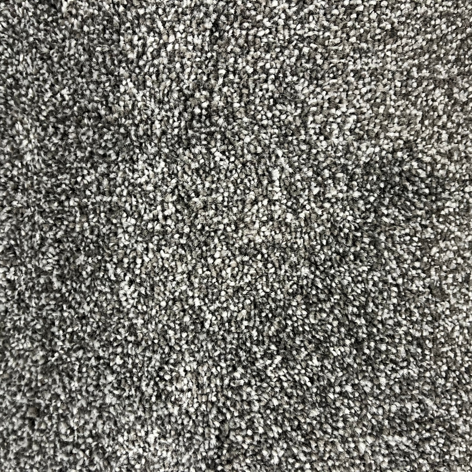 Alice Springs saxony carpet in 77