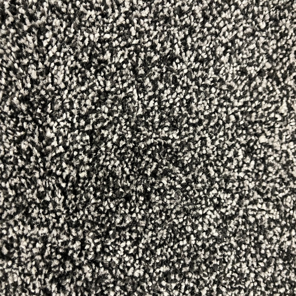 Alice Springs saxony carpet in colour 78