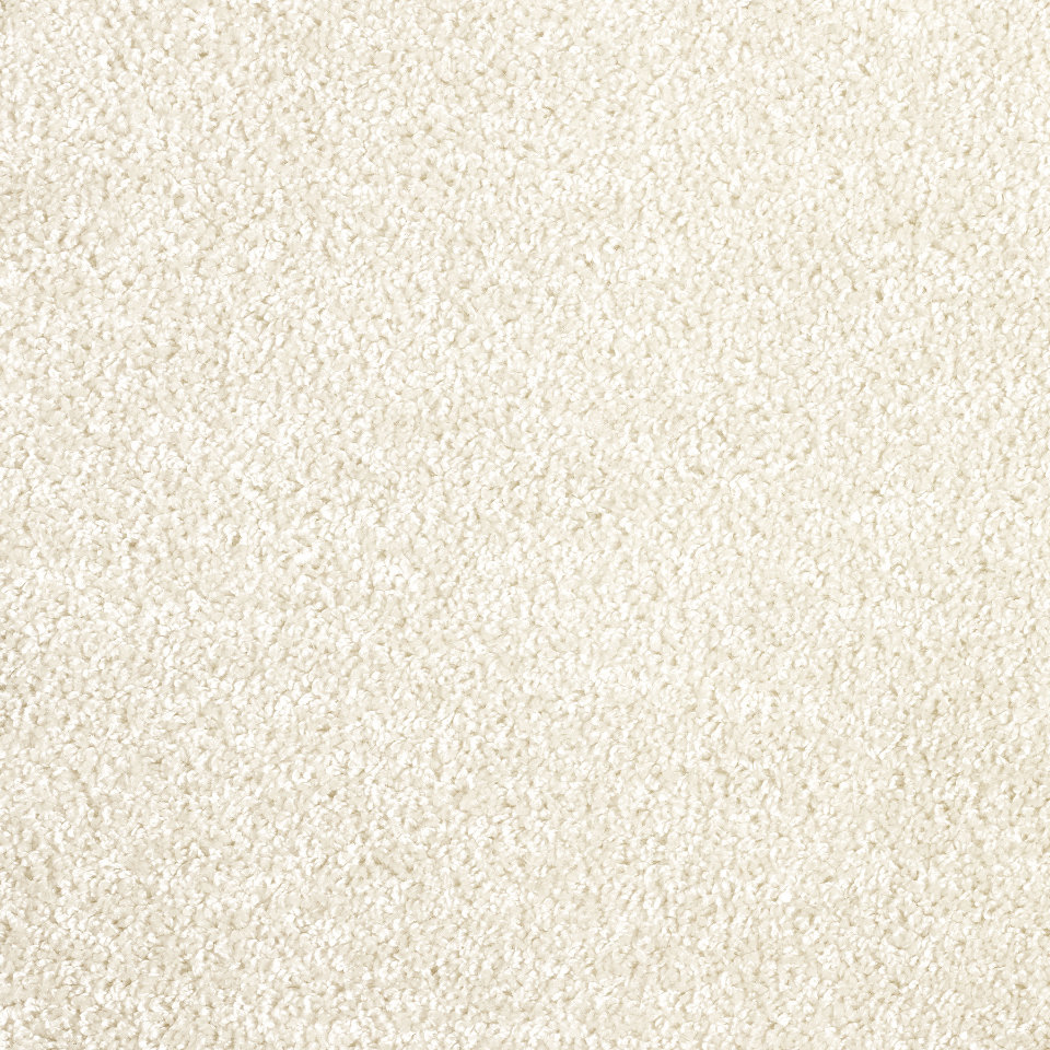 Arcadia saxony carpet in colour Ivory