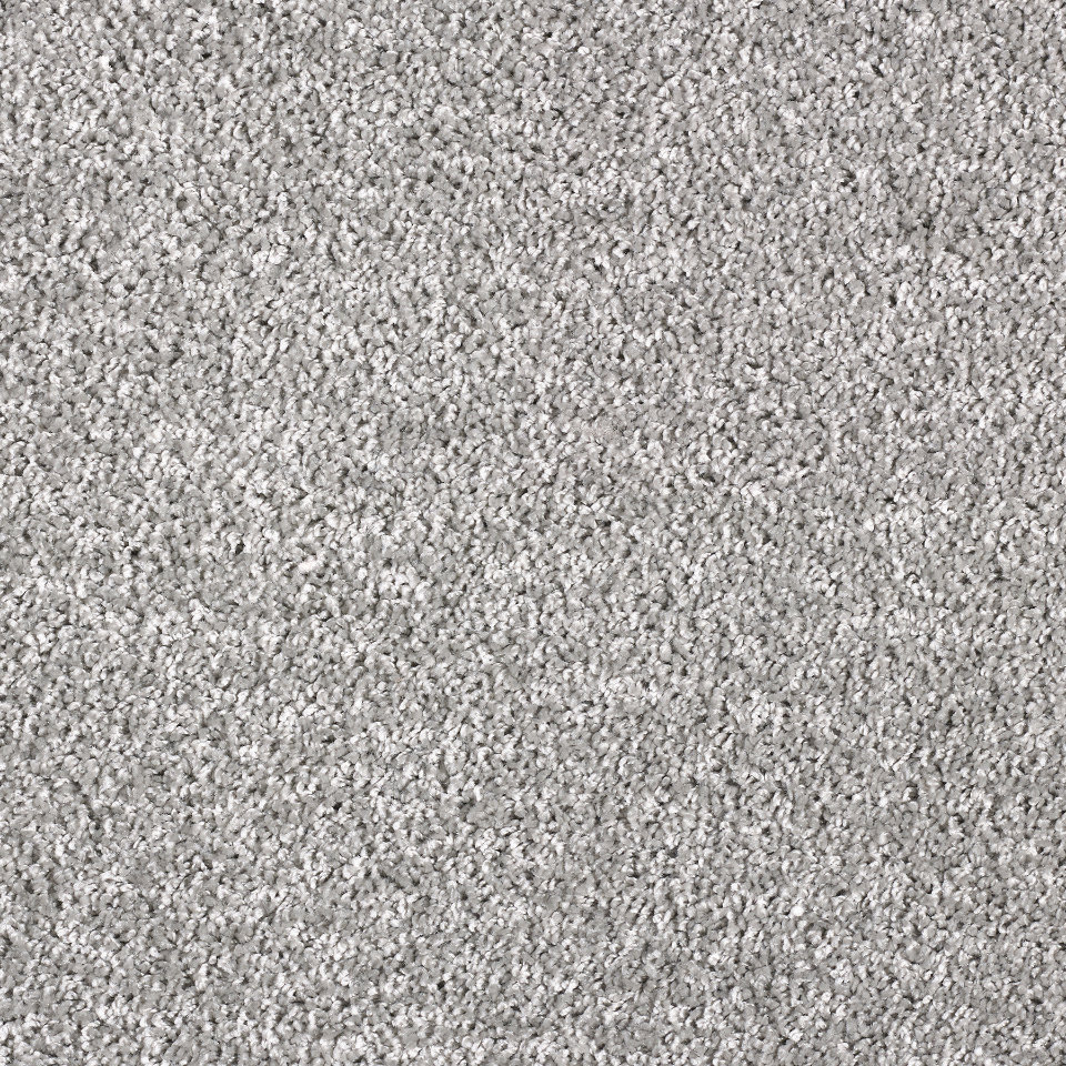 Arcadia saxony carpet in colour 97