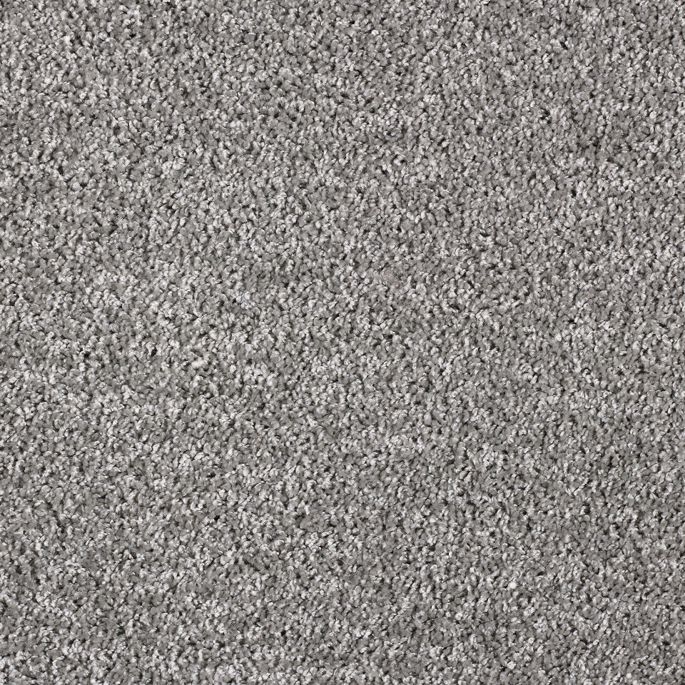 Arcadia saxony carpet in colour Pewter