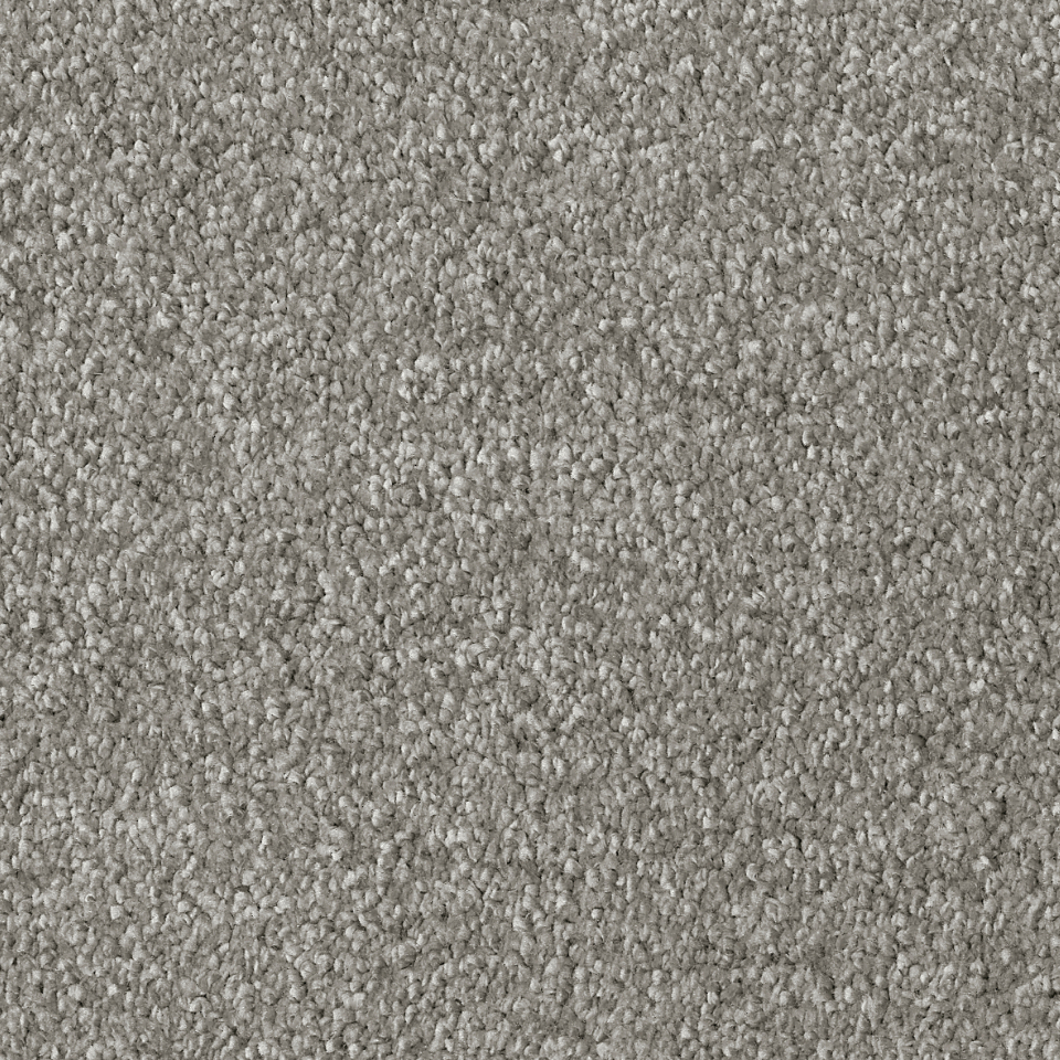 Arezzo saxony carpet in colour Pebble
