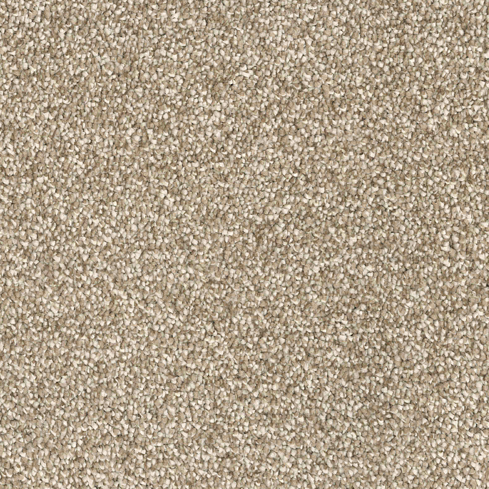 Arezzo saxony carpet in colour Steel