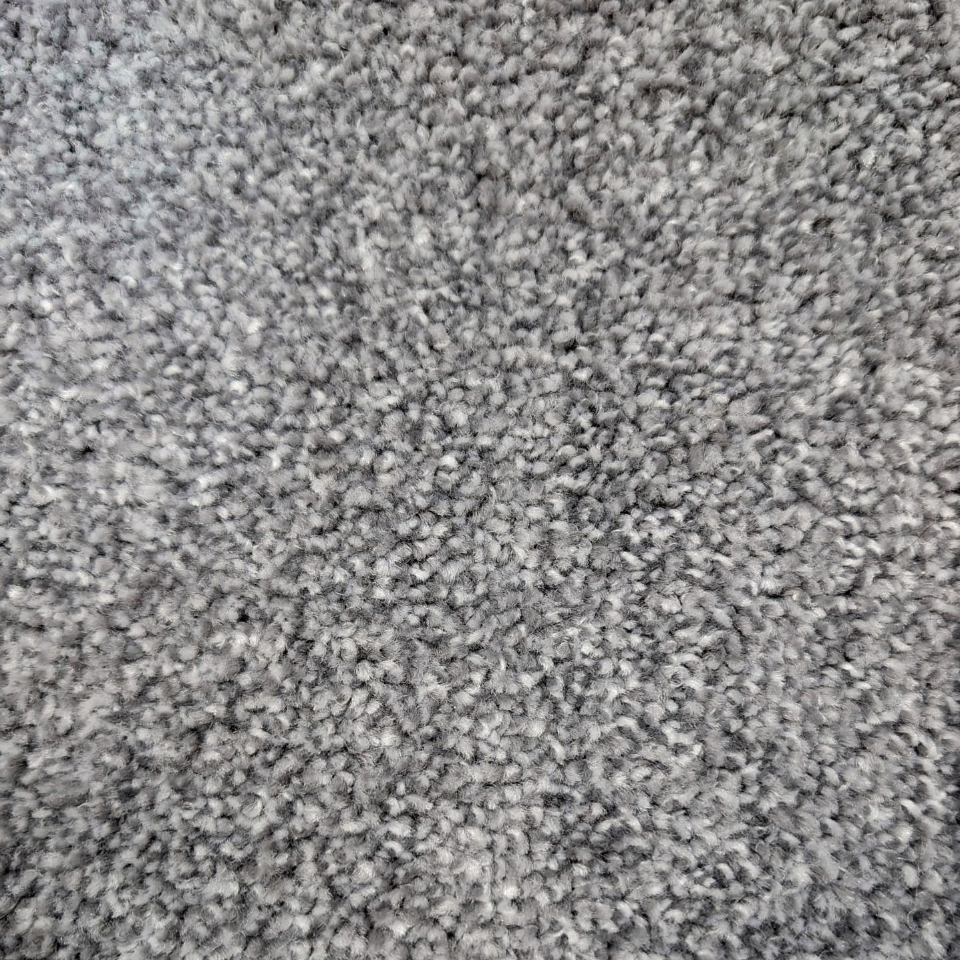 Brisbane saxony carpet in 73