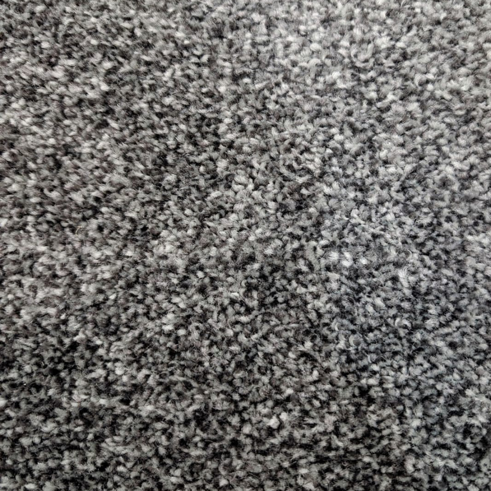 Brisbane saxony carpet in 75