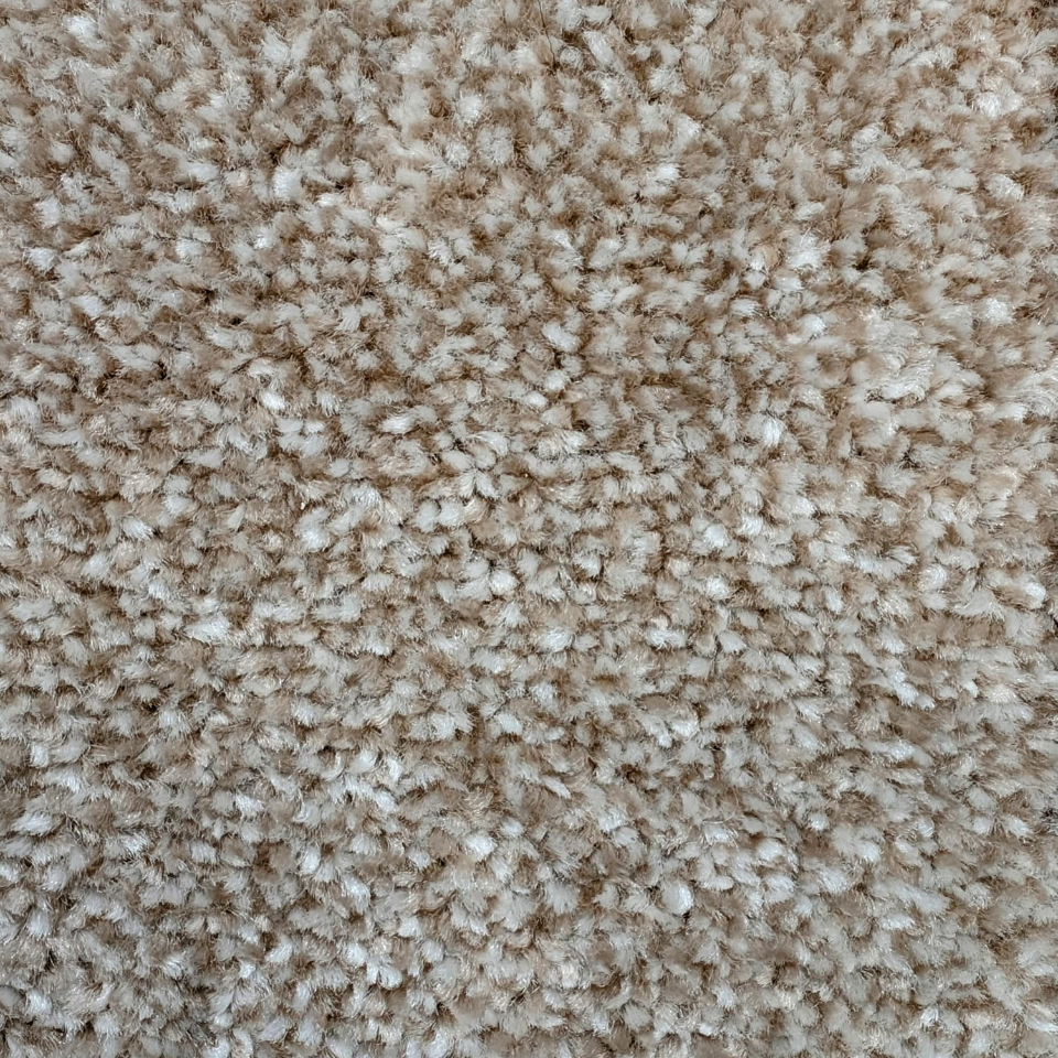 Brisbane saxony carpet in colour 91