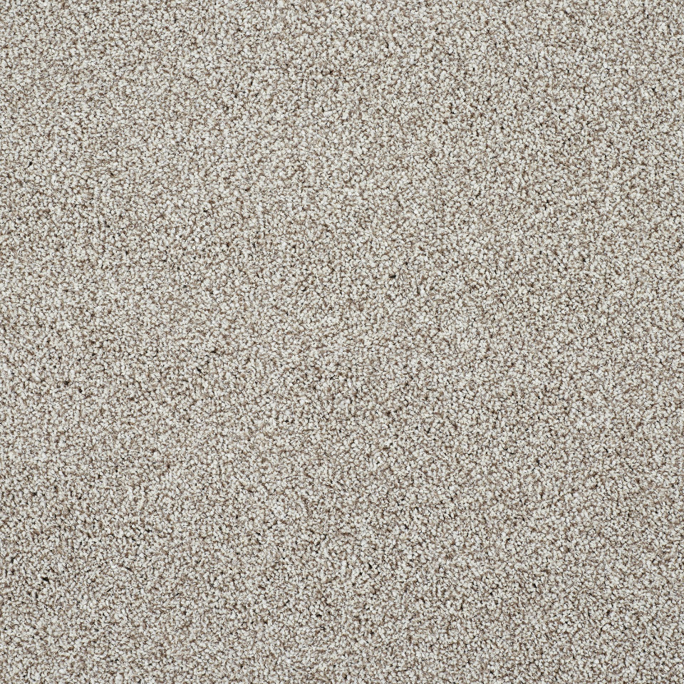 Caerphilly saxony carpet in colour Tapestry