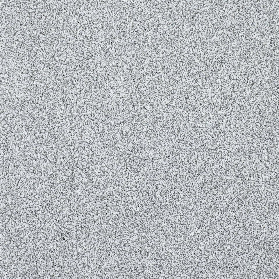 caerphilly saxony carpet in colour Arctic fox
