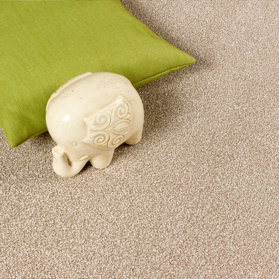 Caerphilly saxony carpet with a money pot on the carpet