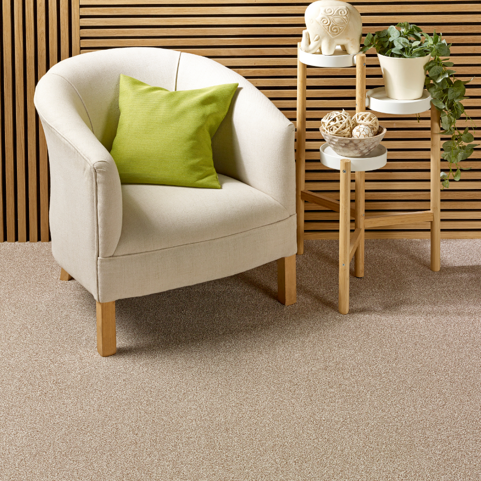 Caerphilly saxony carpet with a tasteful table and chair