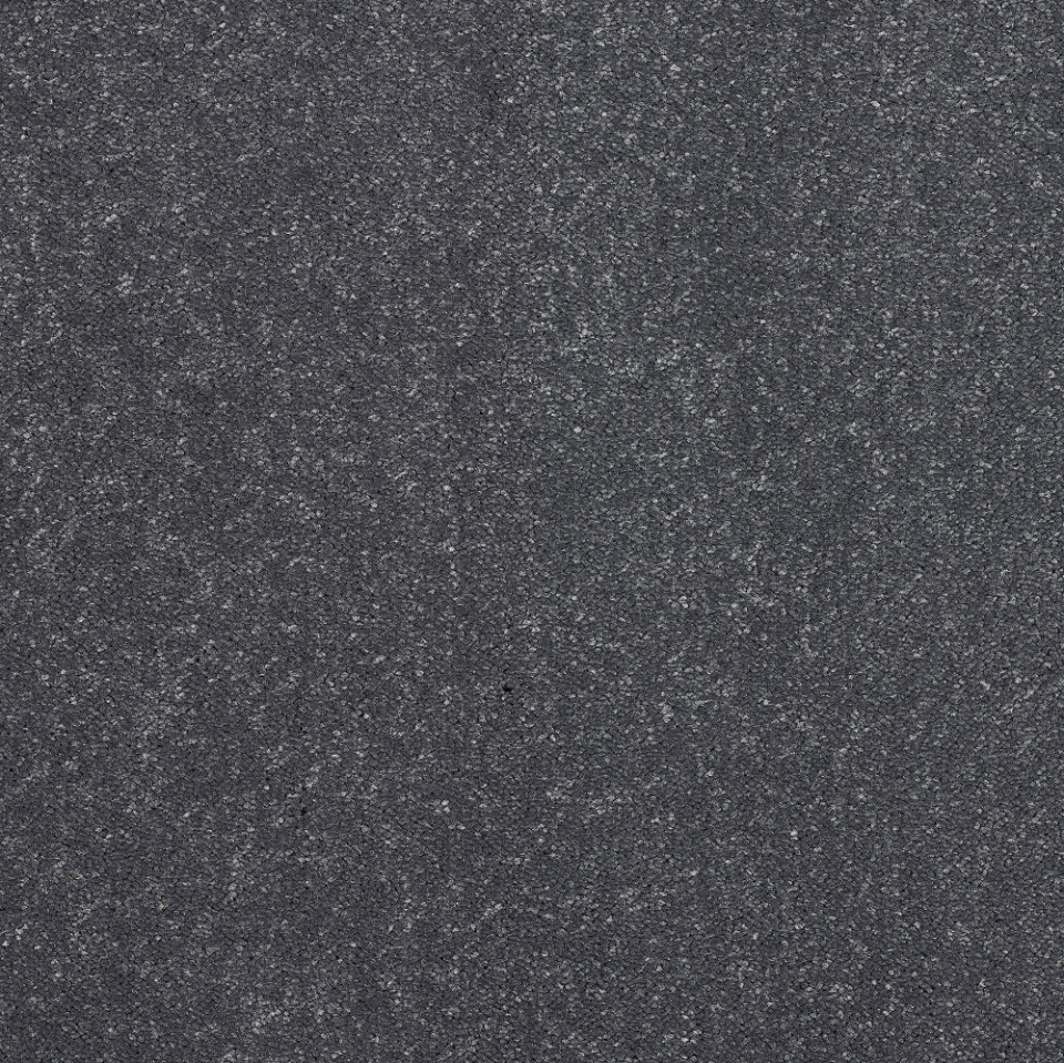Captivation saxony carpet in Sapphire