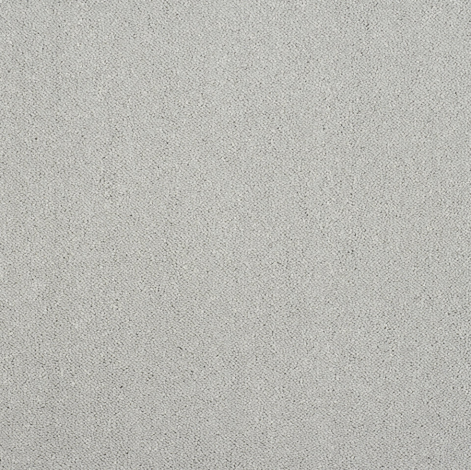 Captivation saxony carpet in Tundra front