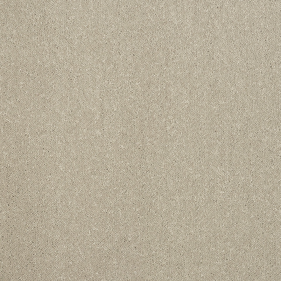 Captivation saxony carpet in Moon cloud