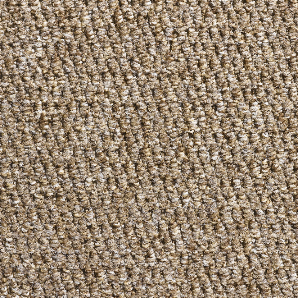chile berber loop carpet in Mink
