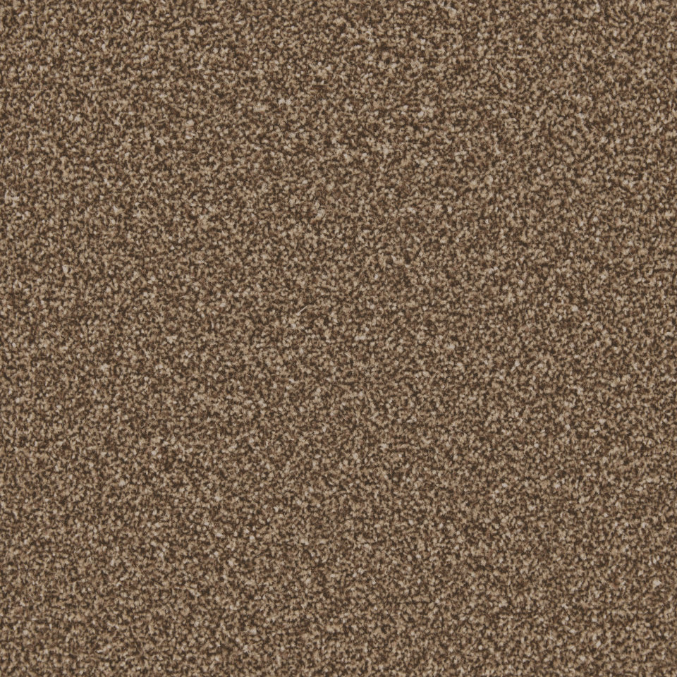 Classic Twist twist pile carpet in colour truffle