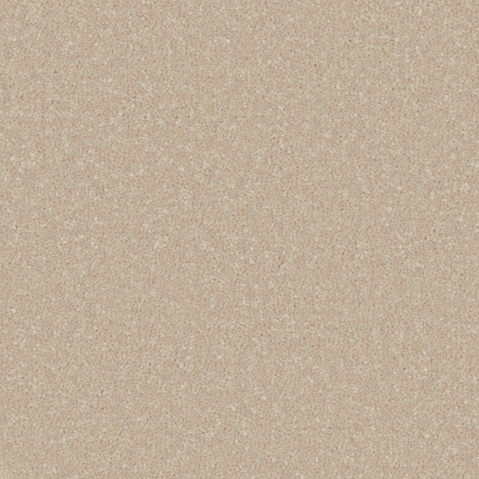 Classic twist elite carpet in cloudy bay
