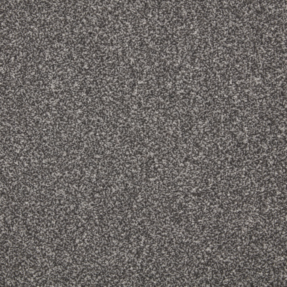 Classic Twist elite twist pile carpet in Raven