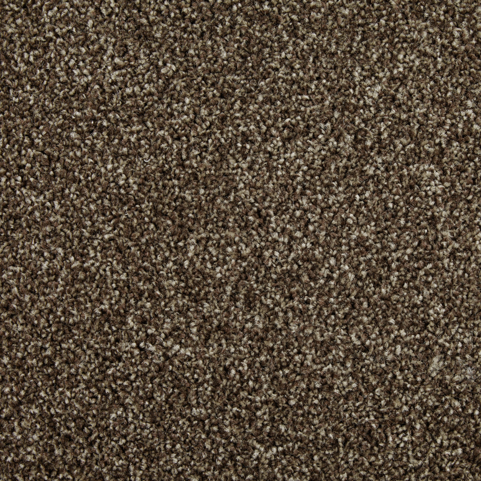 Classic Twist elite twist pile carpet in truffle