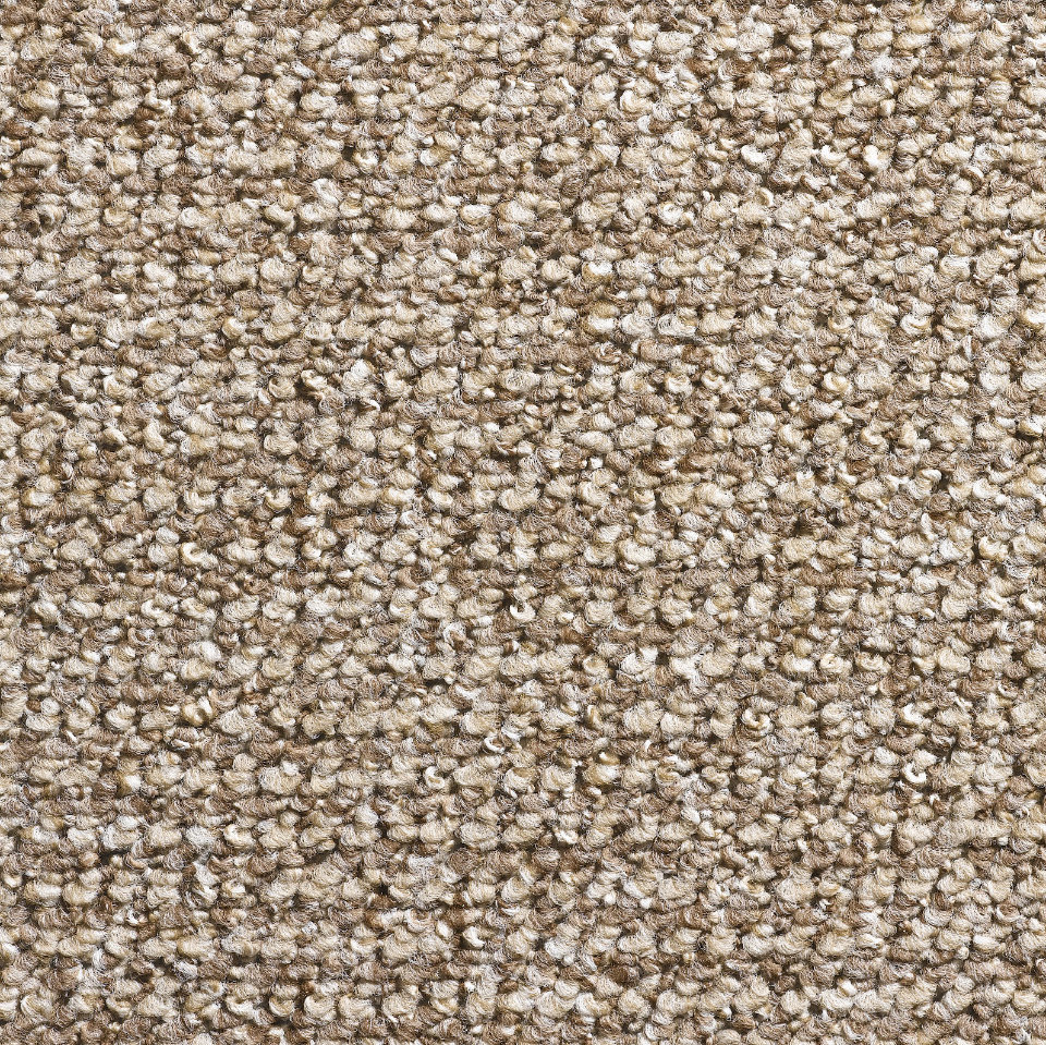 columbia berber loop carpet in Dark beige