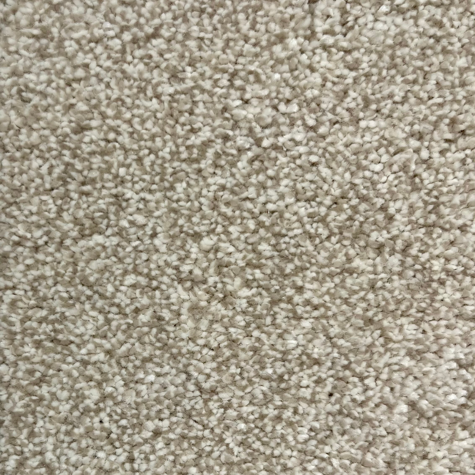Cosiness saxony carpet in colour Ash